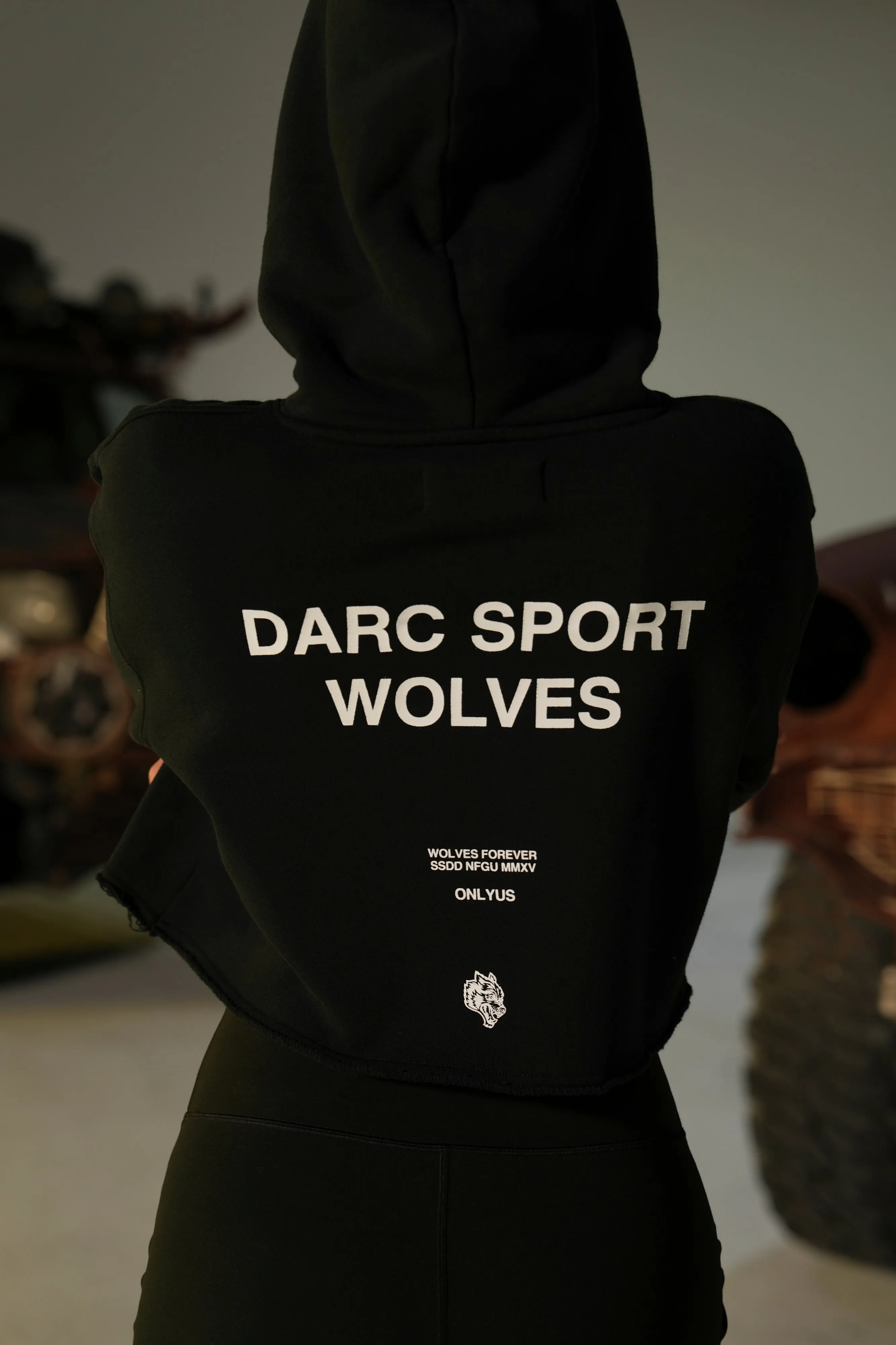 Darc Sport Wolves "Pierce" (Cropped) Hoodie in Black